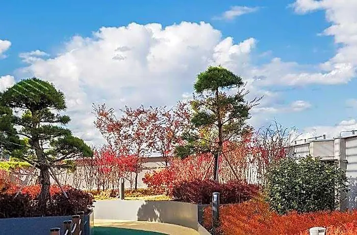 Orakai Cheonggyesan Hotel, Bw Premier Collection 4* ソウル特別市